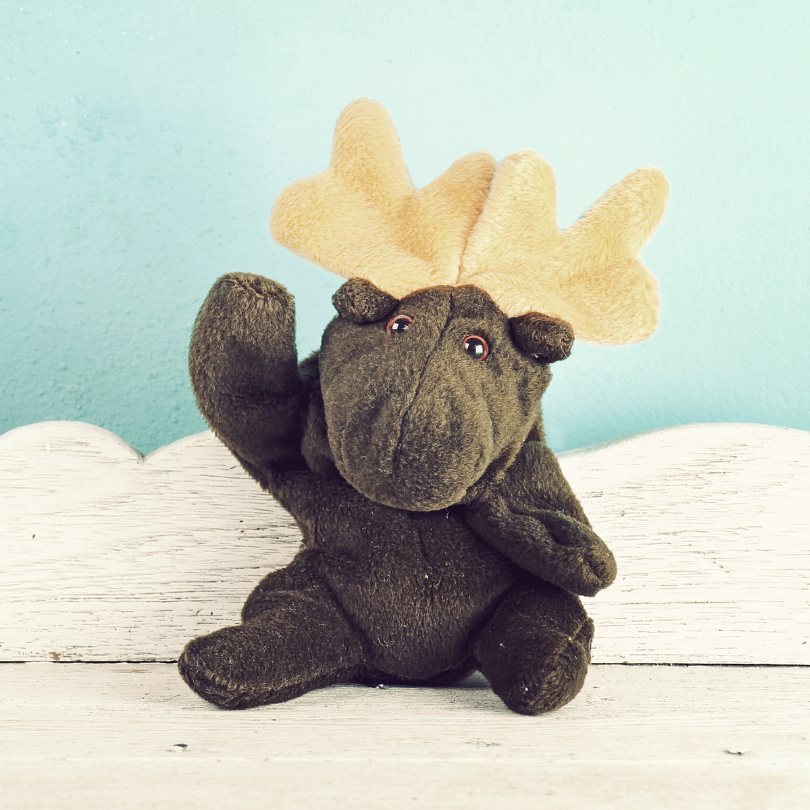 Image of moose waving hello